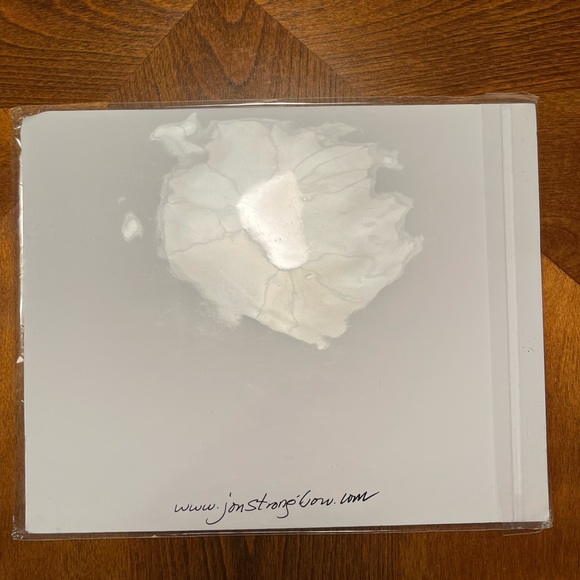 ❌SOLD❌Jon Strongbow Print “Mantis in The Moon” - Picture 7 of 7